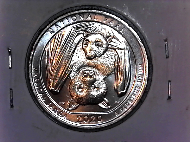 2020-W-Samoa-Quarter.-Is-This-A-Strike-Through?