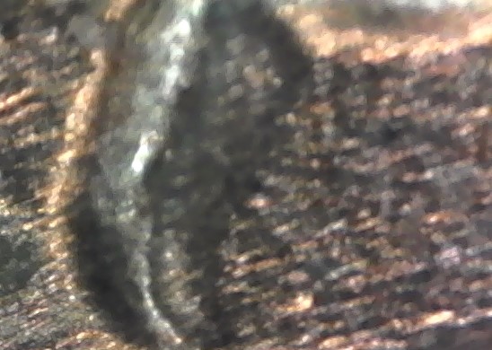 1982-LMC-DDO!-Possibly-A-DDR?