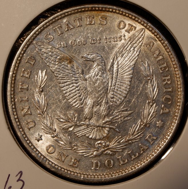 1878-Morgan.-Need-Help-Grading.