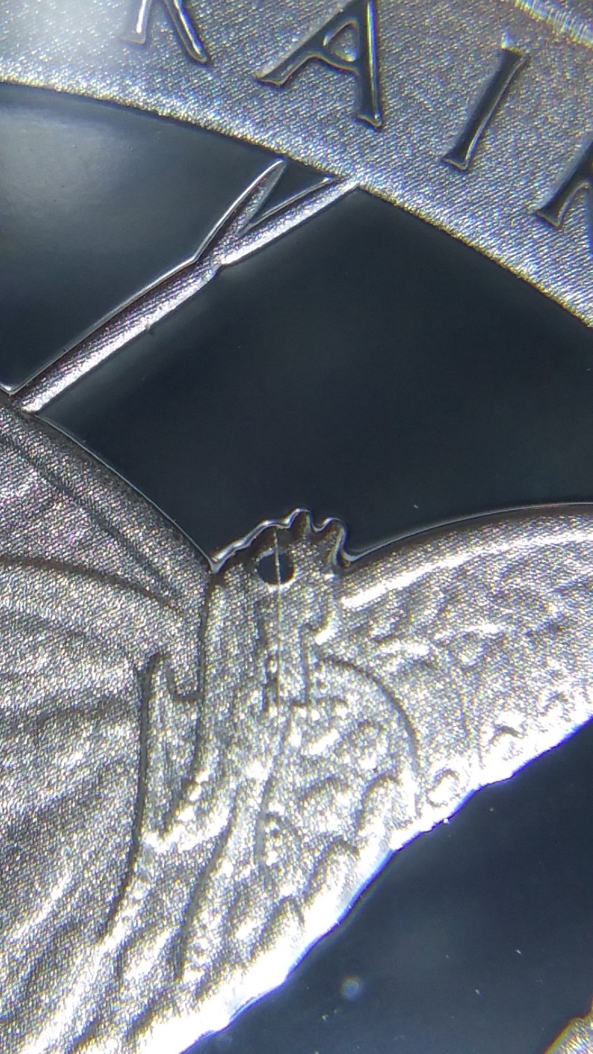2020-Silver-Prairie-Tallgrass-Quarter-Die-Chip?