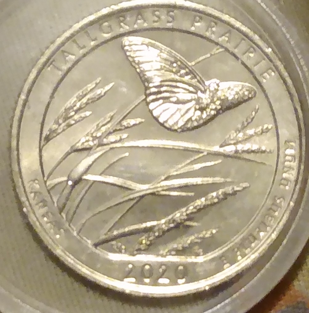 Any-Guess-On-Grade-Of-This-2020-W-Quarter-With-Privy-Mark
