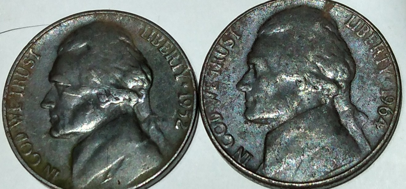 Can-Someone-Verify-If-These-Are-Black-Beauties?