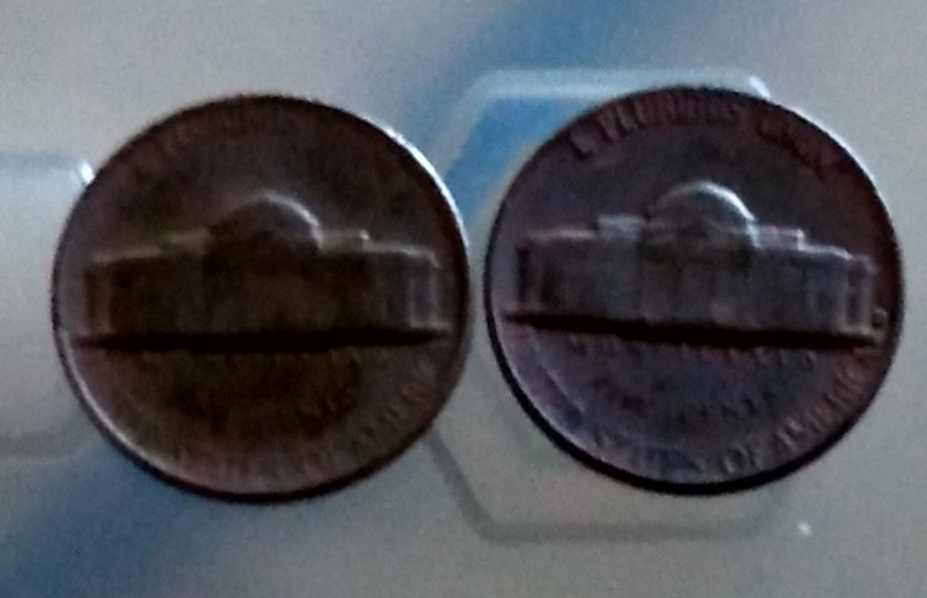 Can-Someone-Verify-If-These-Are-Black-Beauties?