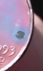 Is-This-1993-D-Toned-Penny-A-Error-Has-A-Weird-Mark-On-Front-And-Back?