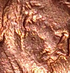 Is-This-1989-D-Penny-DDO-/-DDR-Or-MD-?