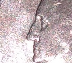 Is-This-DDO-Or--Error-On-This-1983-D-Quarter?