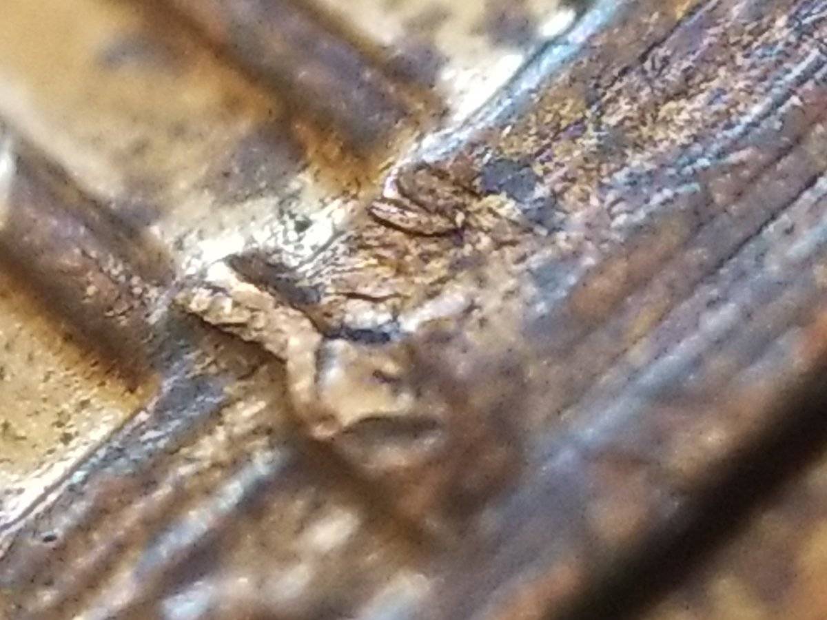 Is-This-A-1969-S-Penny--DDO-&-DDR-?