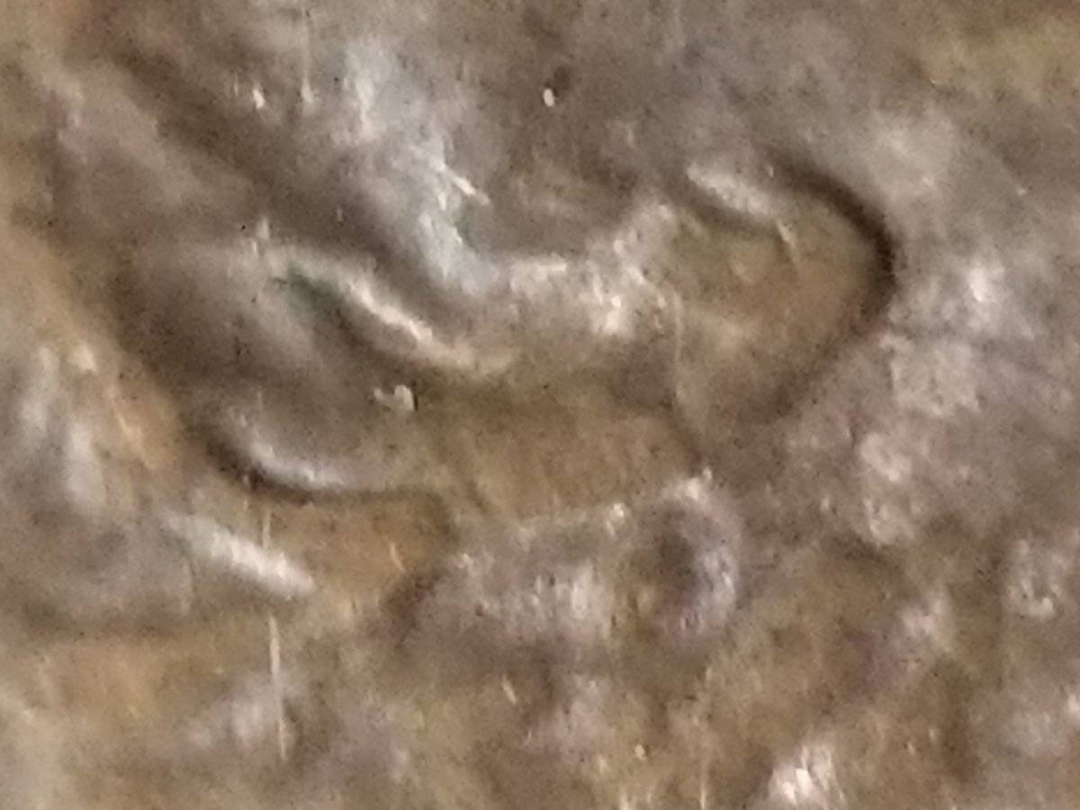 The-Infamous-1988-Philadelphia-Penny-Double-Ear?