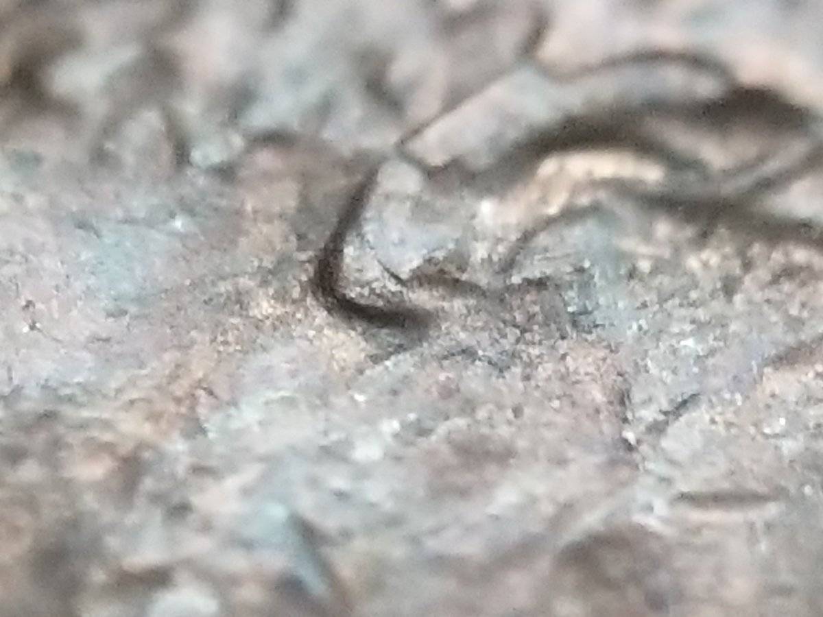 The-Infamous-1988-Philadelphia-Penny-Double-Ear?
