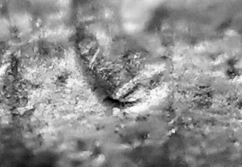 I-Need-Help-With-This-1988-D-Lincoln-1cent-Coin