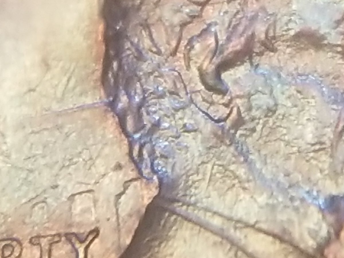 1988-Lincoln-Penny-Error-Whats-This-Error-Called-And-Worth