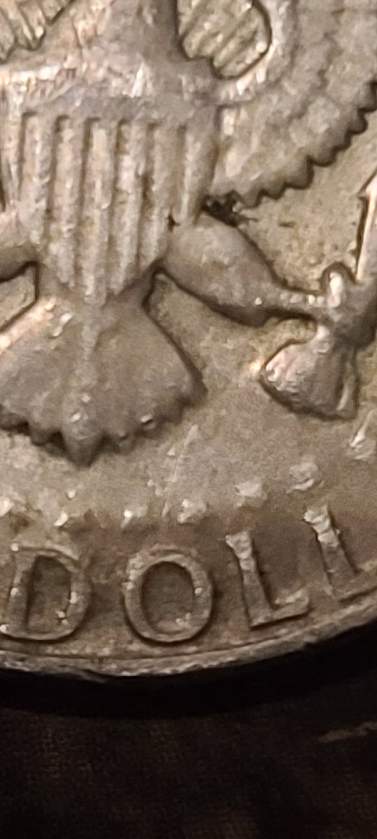 First-Ever-Half-Dollar-Hunt.-Is-This-A-1972-D-No-FG?