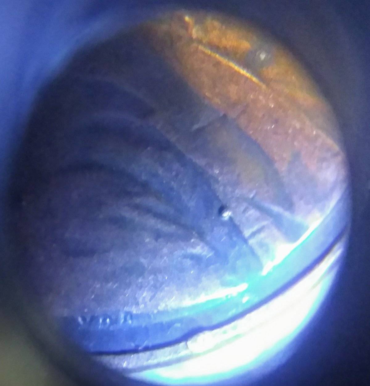 1982-Lincoln-Cent-Lots-Of-Blobs-And-Errors