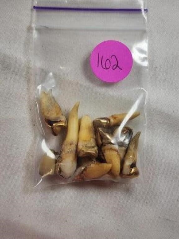 Just-Can't-Bid-On-.-Teeth