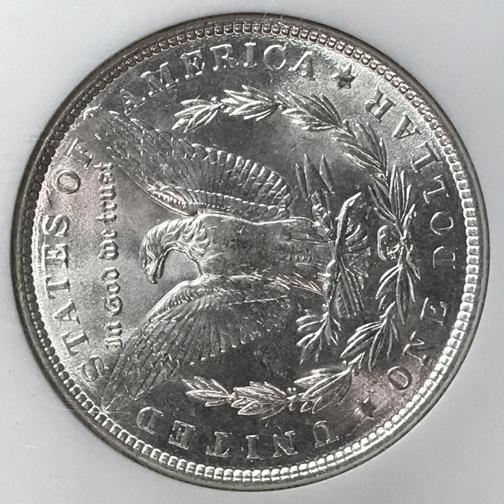 28-Days-Of-The-Morgan-Dollars-Part-5