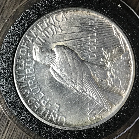 28-Days-Of-The-Morgan-Dollars-Part-5