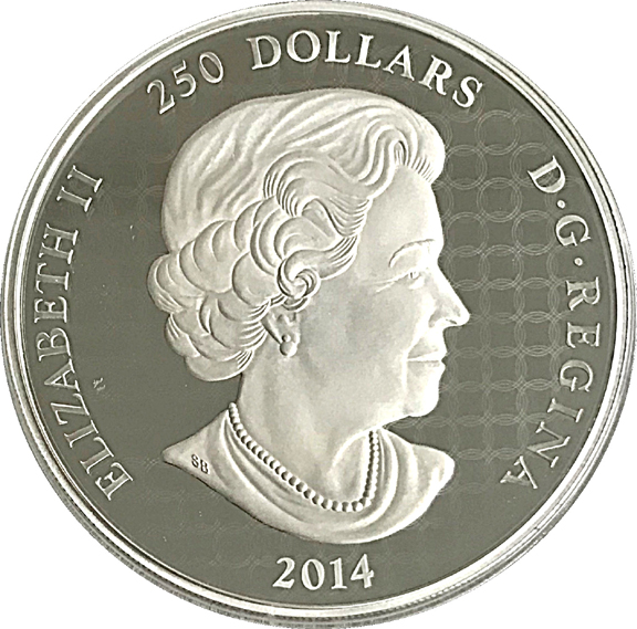 Fake-2014-Snowy-Owl-Coin