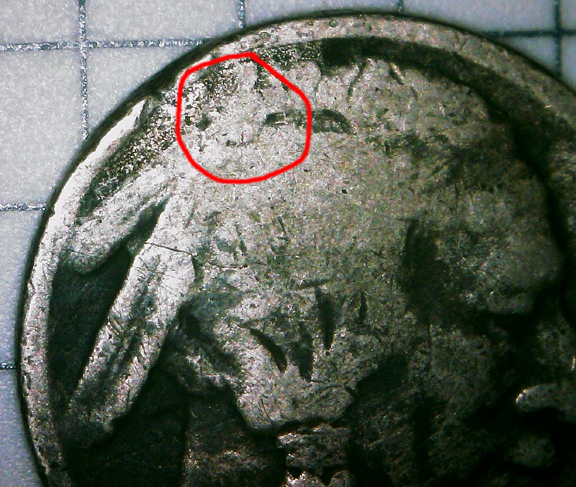 Possible-Extra-Mint-Mark-On-Dateless-Buffalo-Nickel
