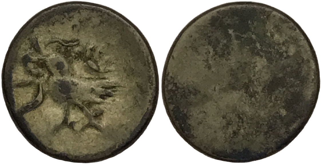 Post-Your-Bird-Coins
