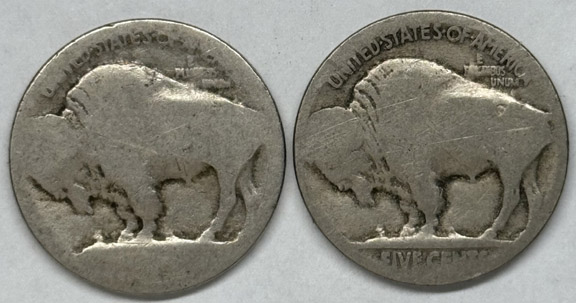 1913-S-Buffalo-Raised-Ground,-Thoughts?