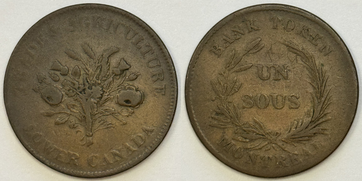 Post-Your-Coins-With-Spelling-Errors