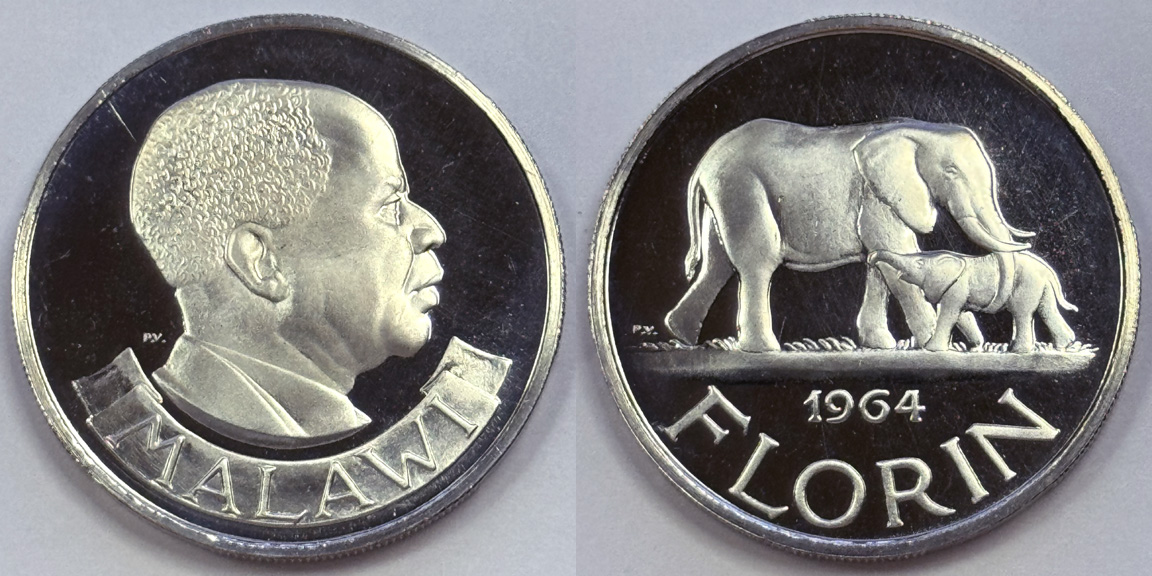 Post-Your-Coins-Representing-The-Animal-Kingdom.