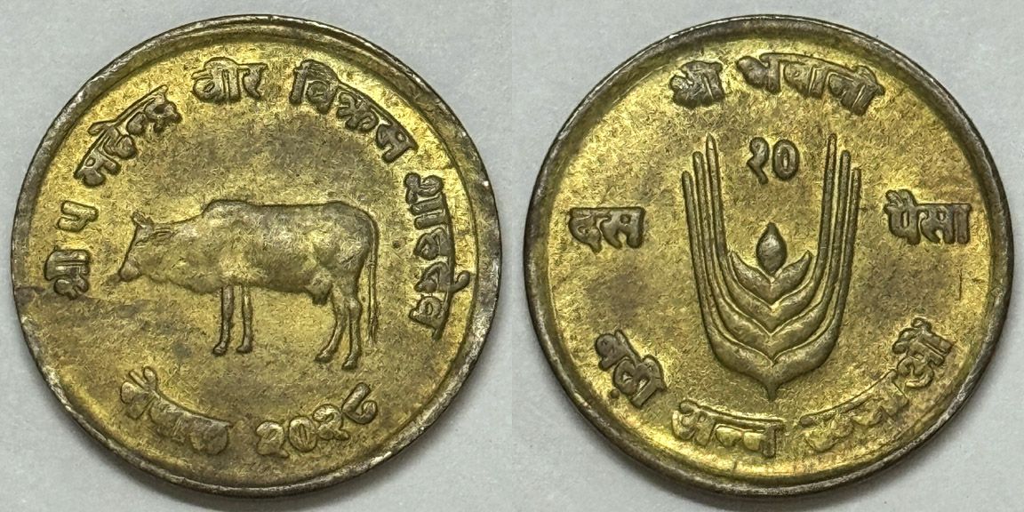Bovine-Coins---Post-Yours