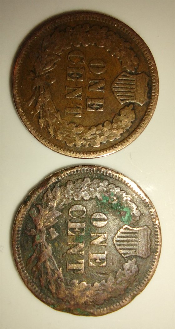 1901-1892-One-Cent-Penny-Indian-Head-How-Much-Are-These-Worth?