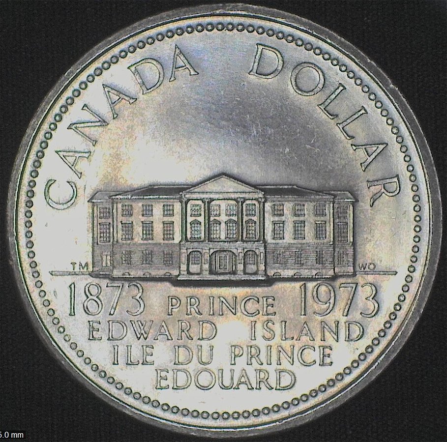 1873-1973-Canadian-Dollar-For-Grading-Please.