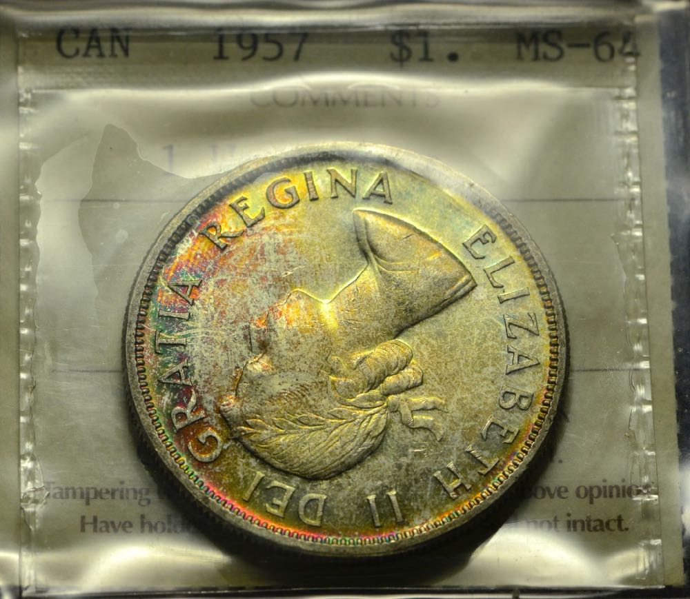 The-31-Days-Of-Canadian-Silver-Dollars