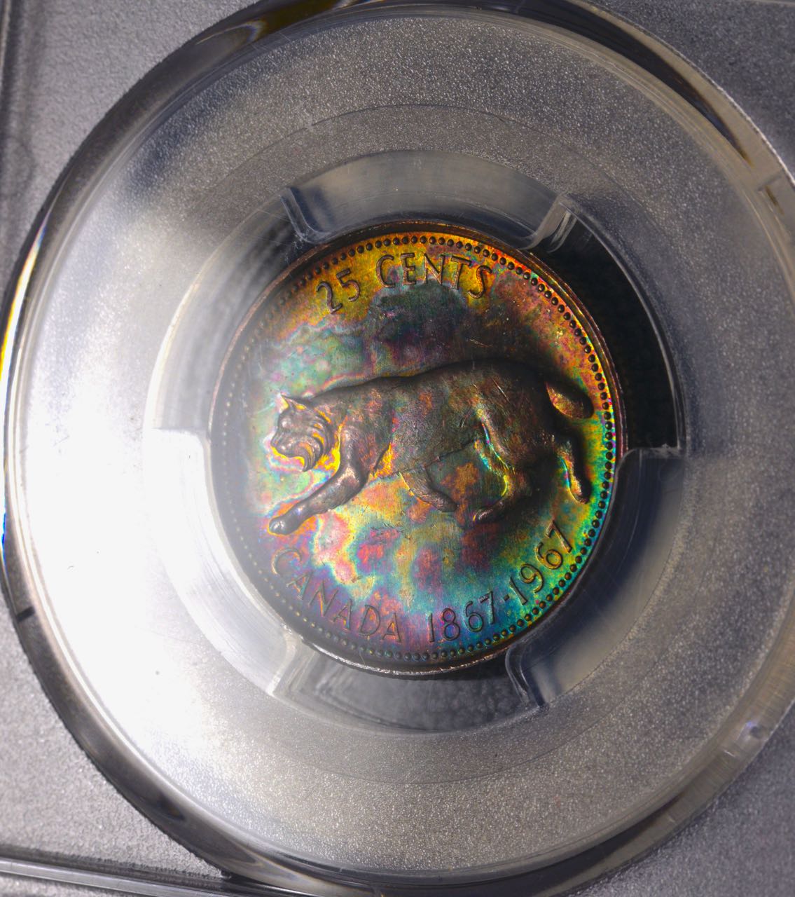 Eye-Candy-Corner:-Post-Your-Toned-Coins!