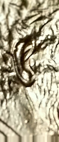 Help-Identifying-Errors-On-1993-Penny