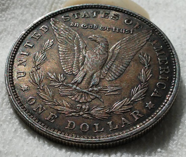For-Grading---1880-Morgan-Silver-Dollar