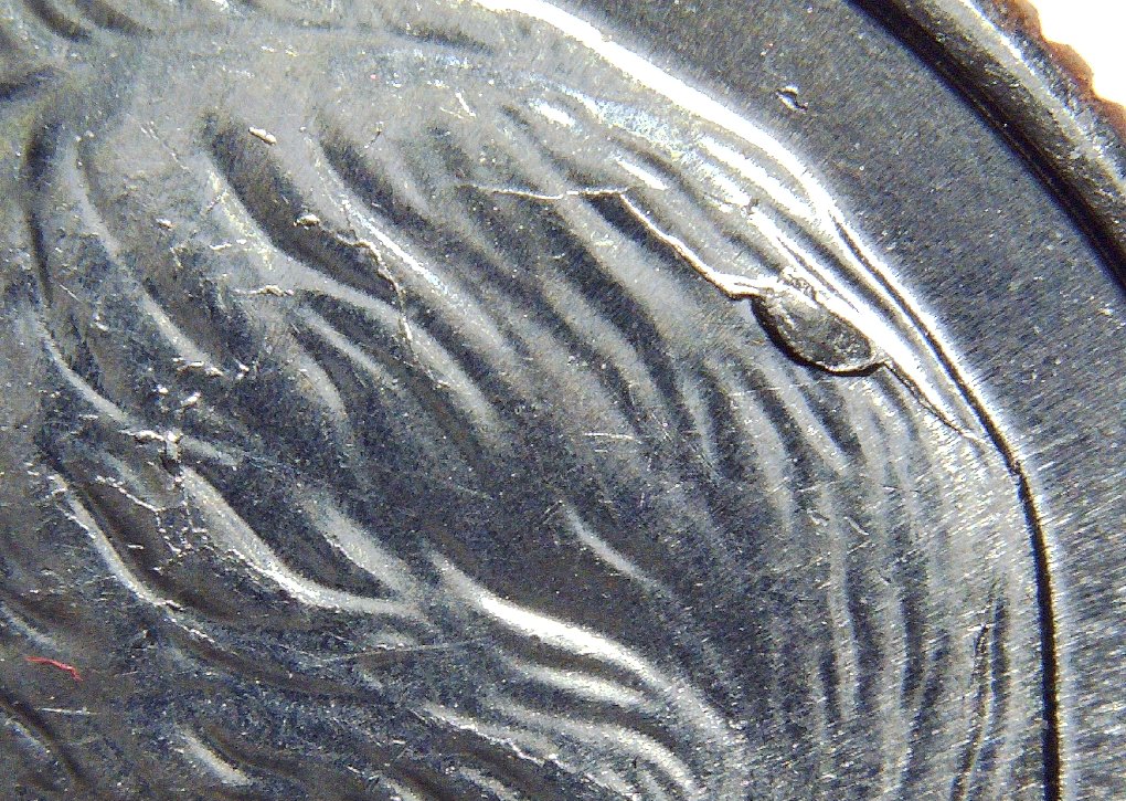 2021-Roosevelt-Dime---Die-Chip?