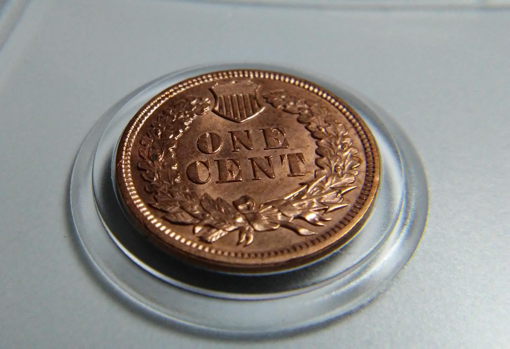 For-Grading---1908-Indian-Head-Cent