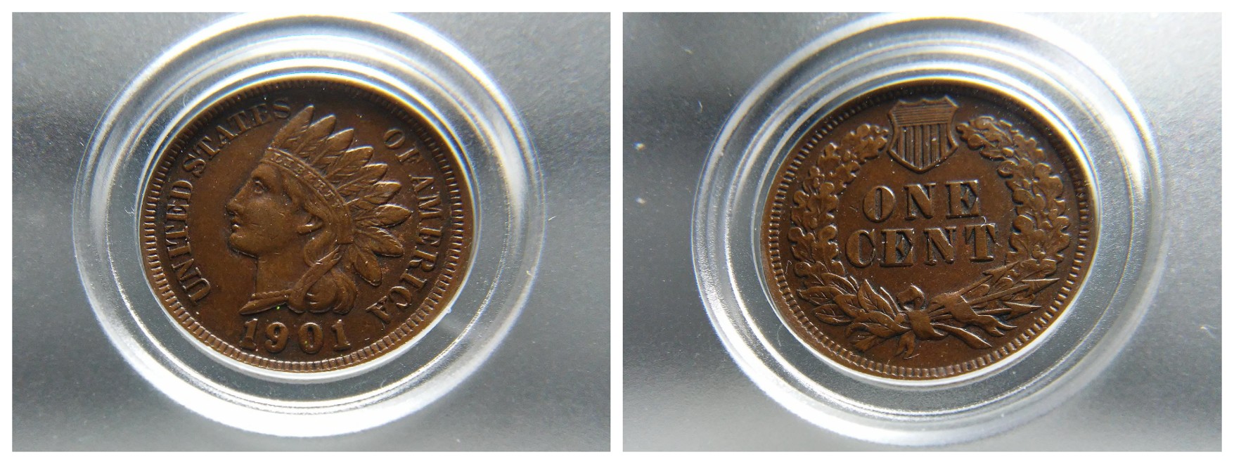 For-Grading---1901-Indian-Head-Cent