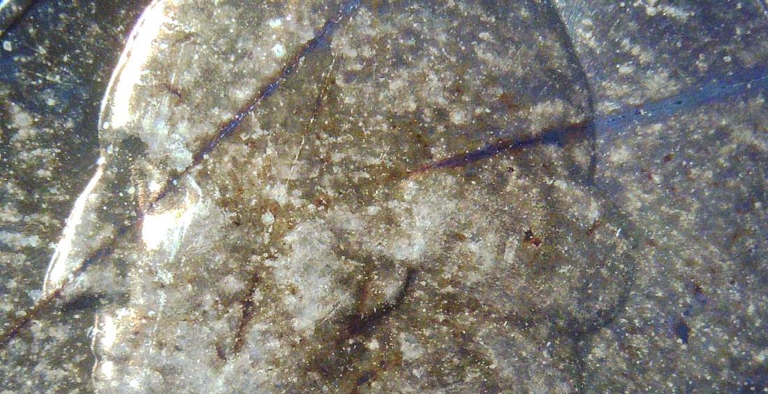 1956-Washington-Quarter---Die-Cracks