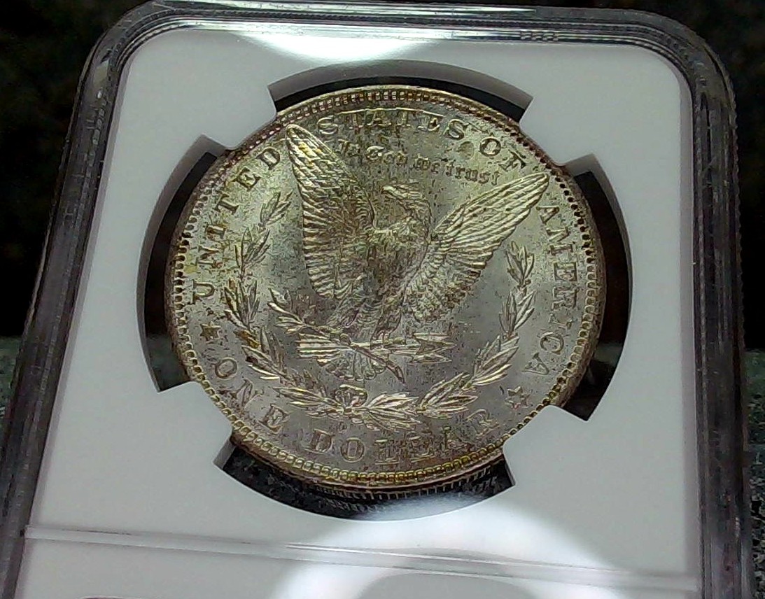 Continuing-List-To-Show-Everyones-Latest-Acquisitions
