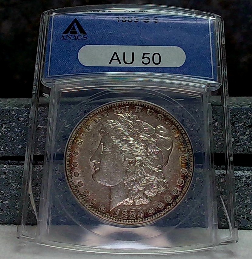 ANACS-Blue-Holder-7.0