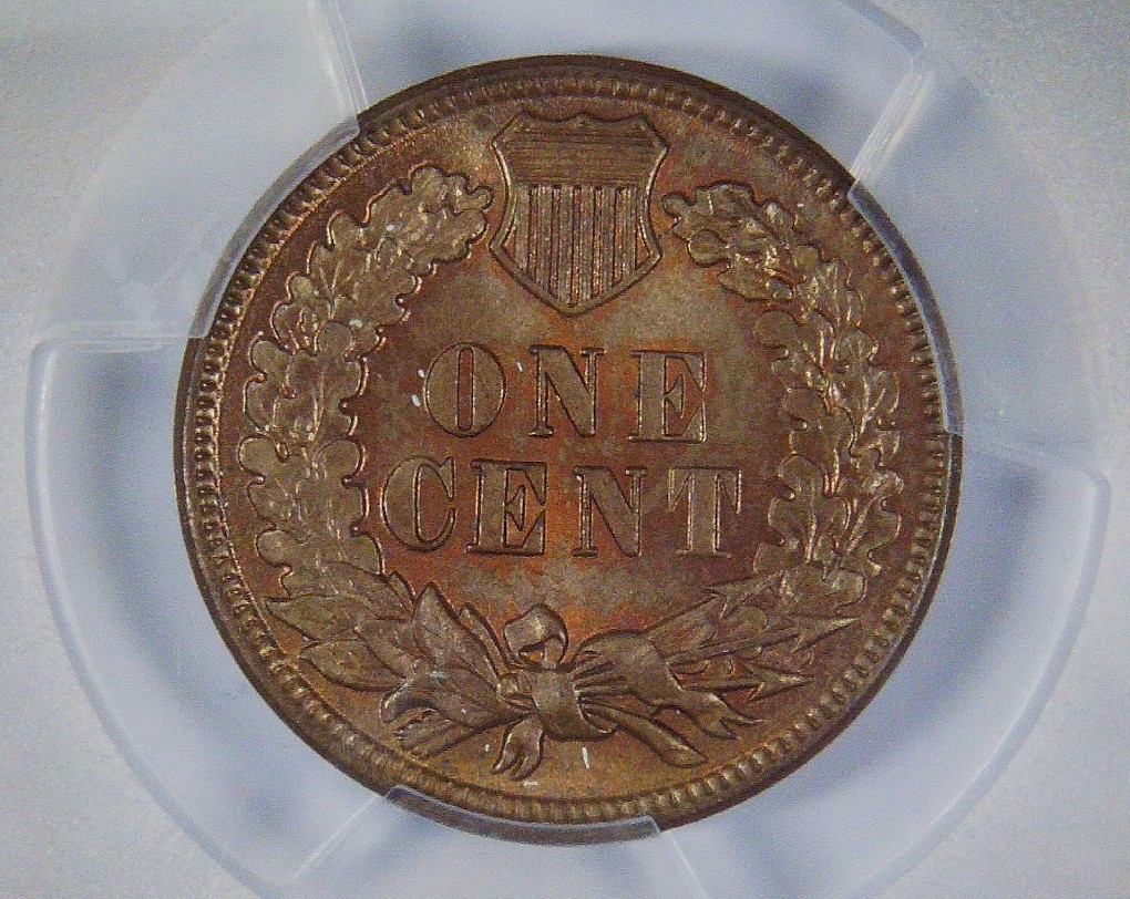 Continuing-List-To-Show-Everyones-Latest-Acquisitions