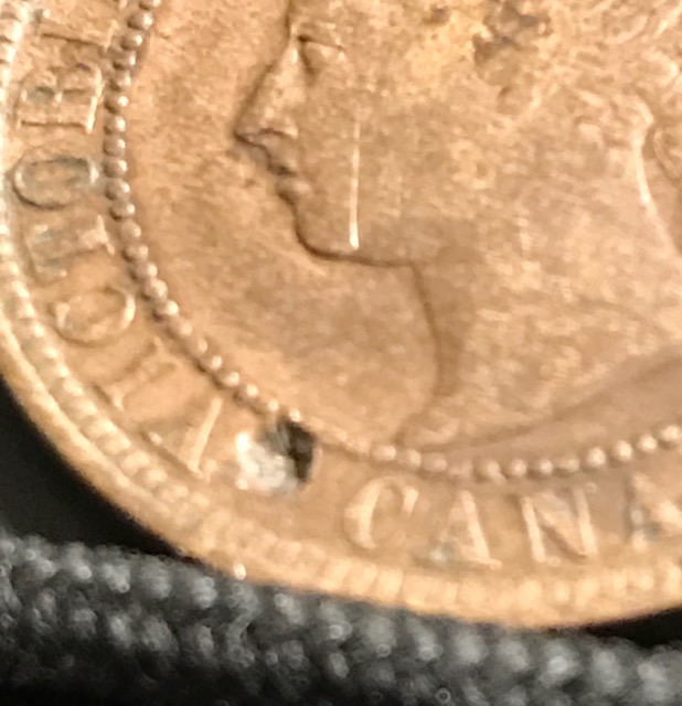 1887-Penny-Graded-Please