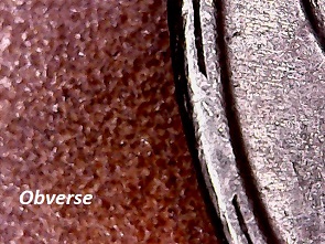 1982-P-Nickel-With-Worn-Die-Stress-On-Reverse