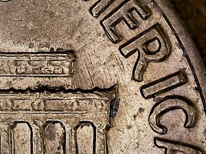 1969-D-LMC-Lincoln's-Faded-Coat-Under-The-Date,-Error?