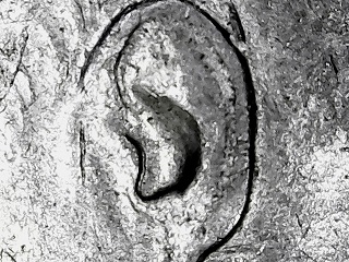 1967-Jfk-Kennedy-Half-Dollar-RDd-Or-MD?