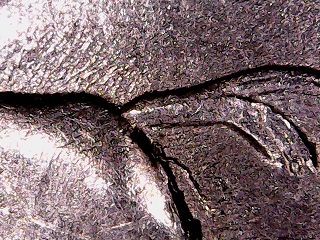 1999-P-Delaware-Quarter,-Spitting-Horse-Kind-Of