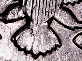 1972-D-Kennedy-Half/Looks-Like-Ghosting-But-Doesn't-Match