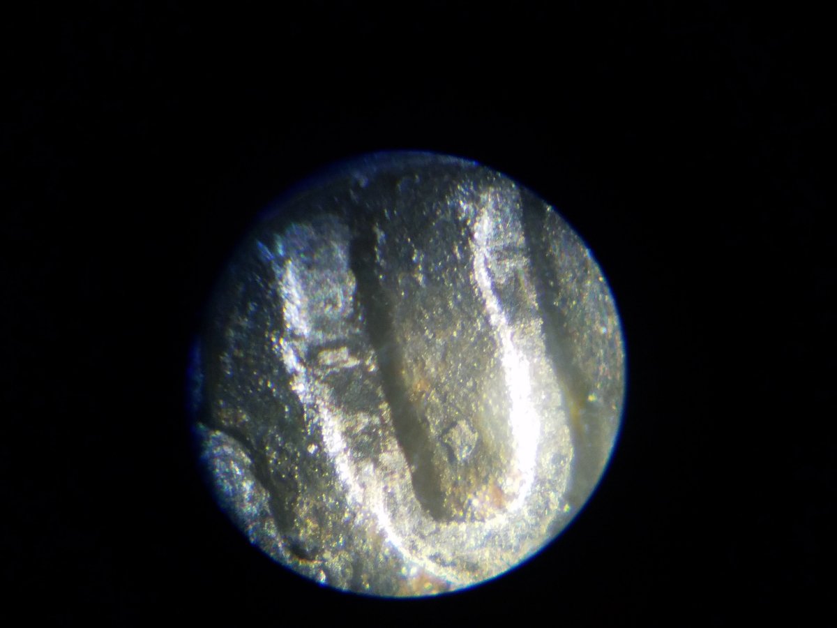 1961-D-Nickel---Errors-Galore?