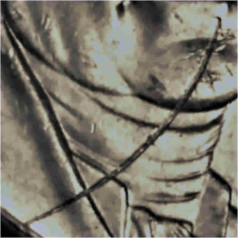 2019-D-Jefferson-Nickel,-Kind-Of-Appealing...