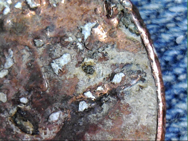 My-Very-First-Coinstar-Finds