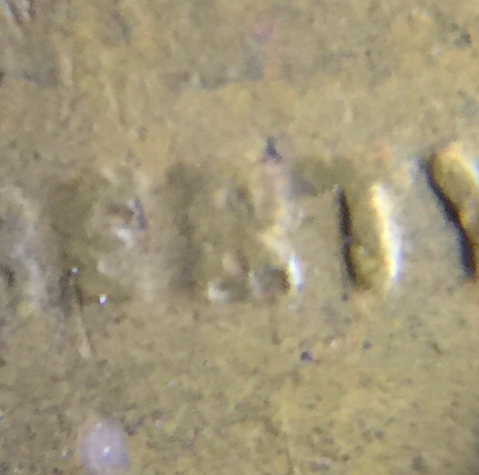 1920-D-Cent-Lamination-Vs-PMD